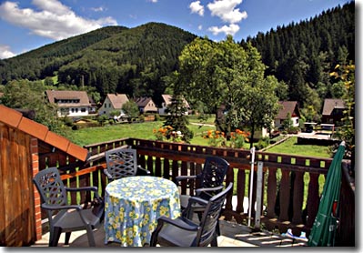 Blick vom Balkon einer Ferienwohnung im G�stehaus Harzklause